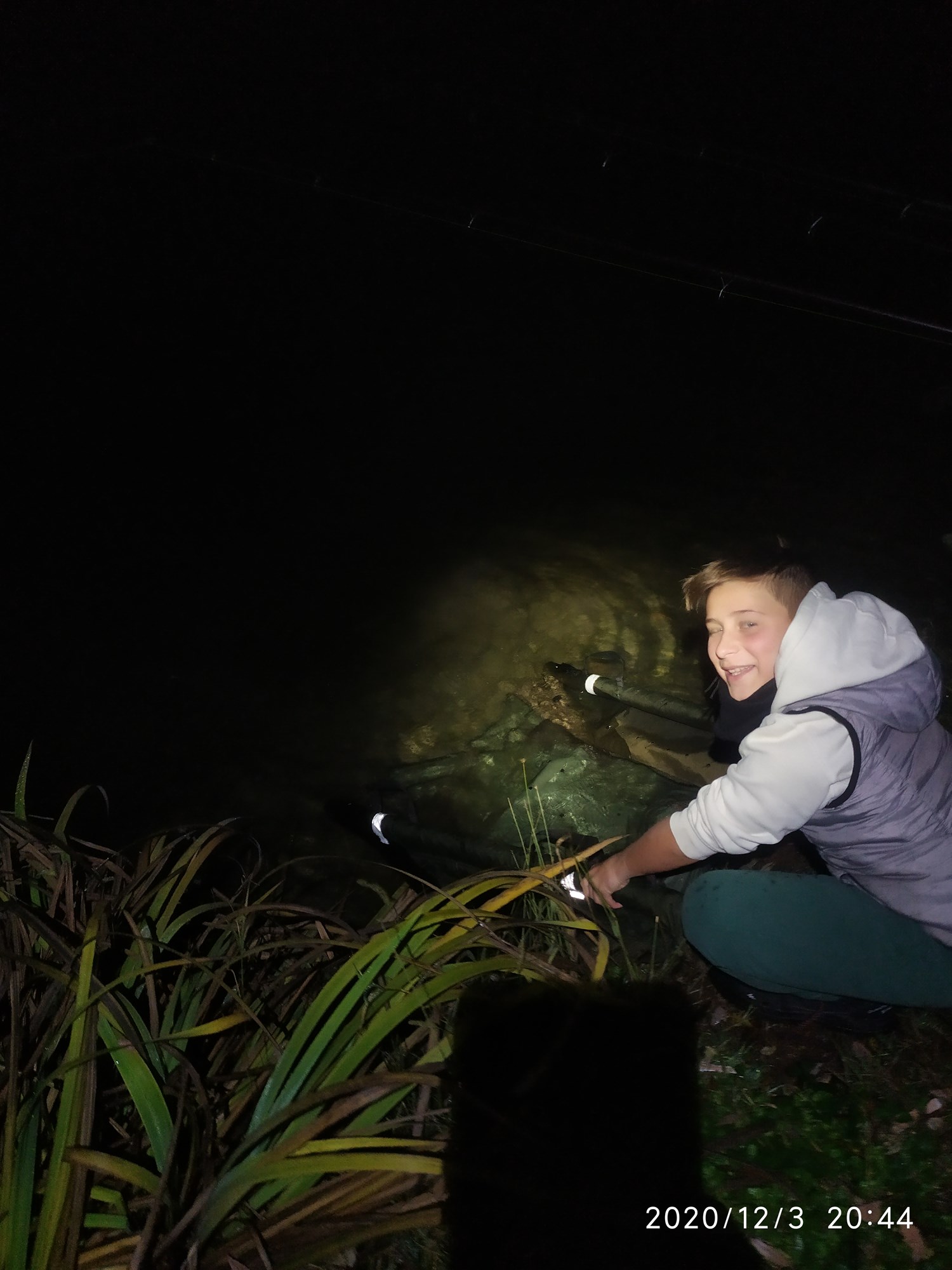 ISOLA DEL PESCATORE 3 decembrie 2020 - IMG20201203204430.jpg